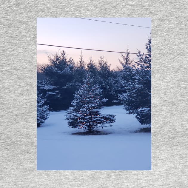 Christmas tree in the snow by MKW716girl